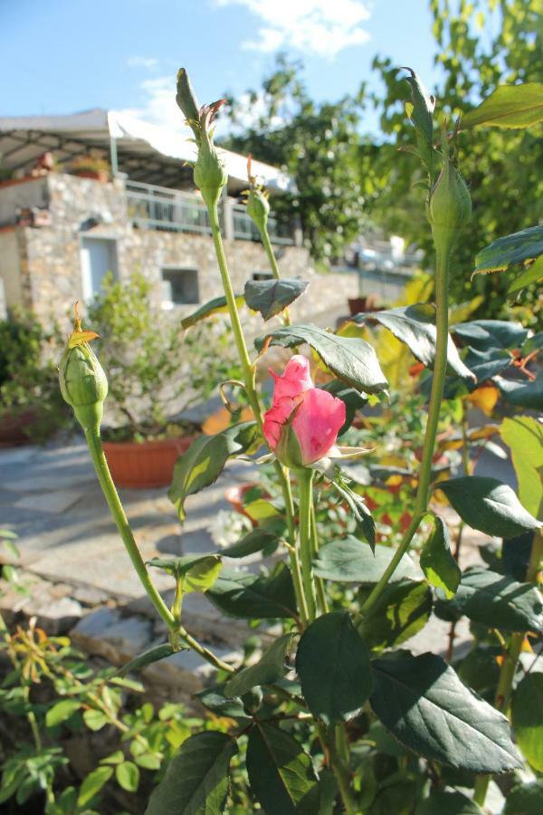 B&B Ca Dei Fre Genova Eksteriør billede